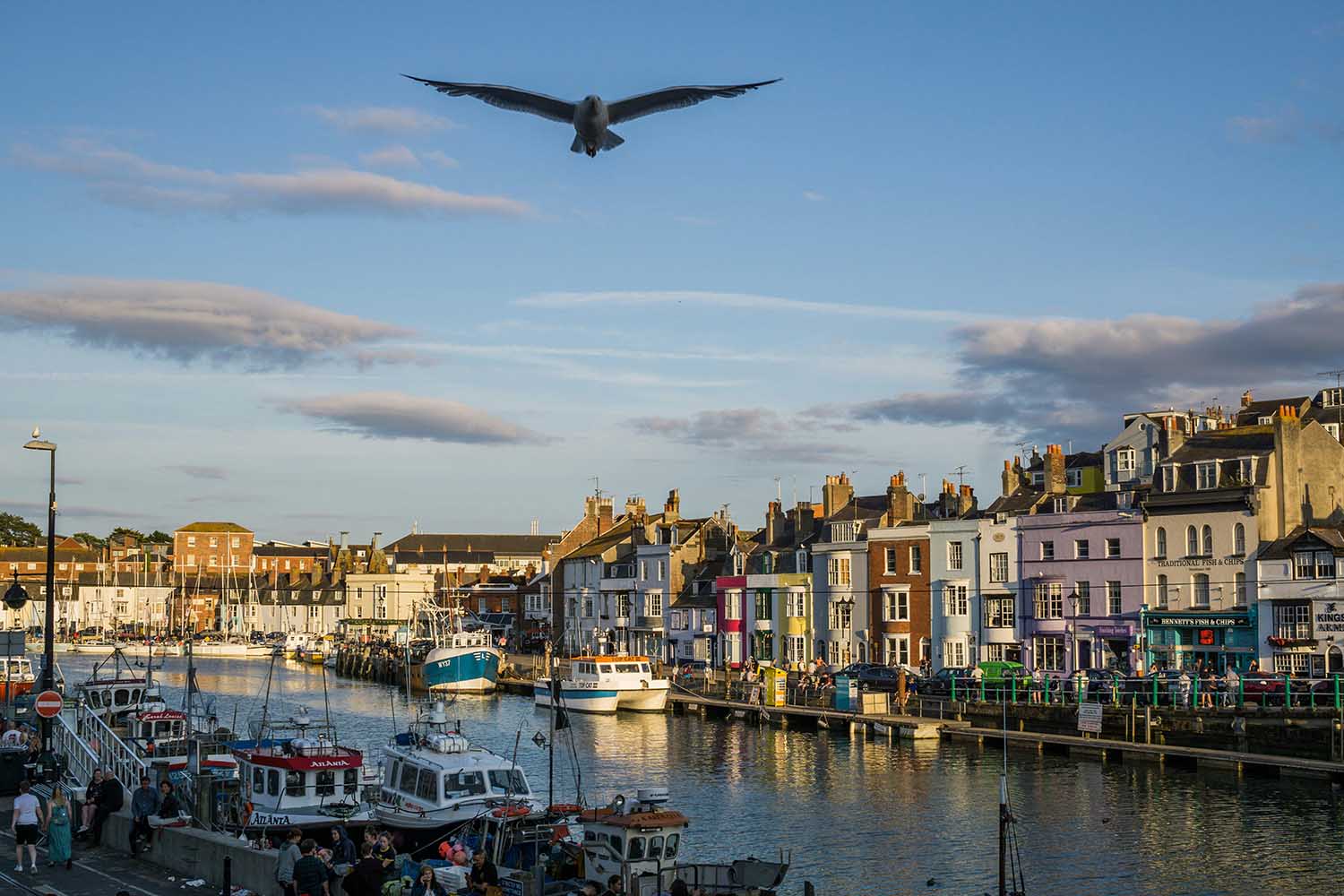 IT Support Weymouth